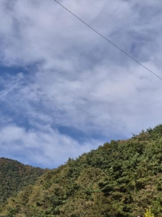 전라남도 화순군 동복면 칠정리 산40 임야 경매 사진 17