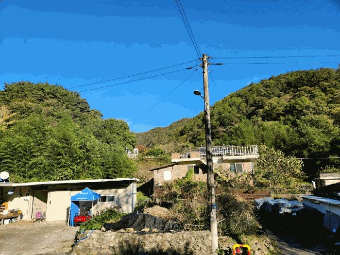 전라남도 화순군 동복면 유천리 산217-1 임야 경매 사진 1