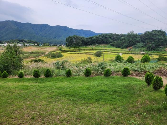 광주 북구 전