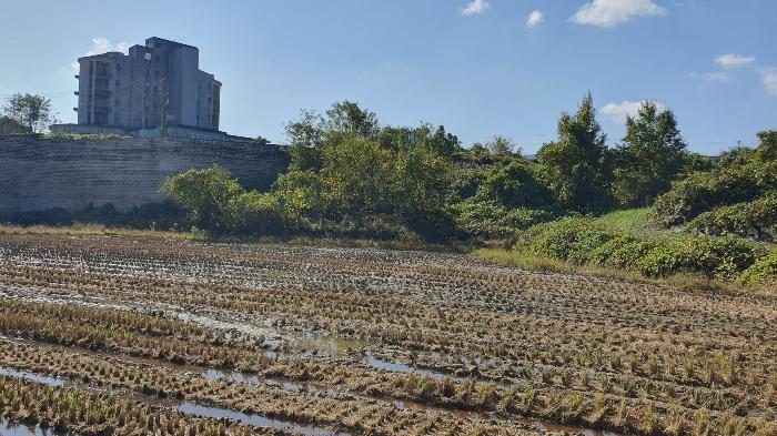 전라남도 곡성군 전