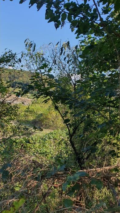 전라남도 곡성군 오산면 운곡리 72-3 전 경매 사진 15