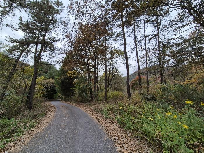 광주 북구 임야