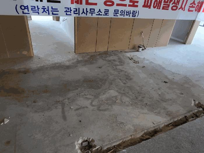 인천광역시 서구 원당대로 983, 2층202-1호 (원당동,이안테라디움검단101,주건축물제1동)구) 인천광역시 서구 원당동 1041-10 근린상가 경매 사진 15