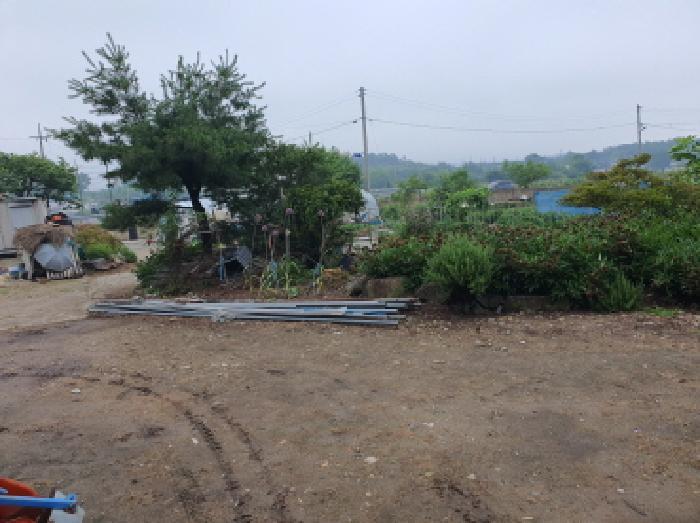 전라남도 장흥군 장평면 용강리 305 대지 경매 사진 32