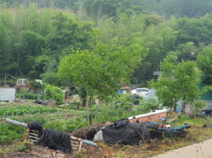 전라남도 장흥군 장평면 용강리 305 대지 경매 사진 35