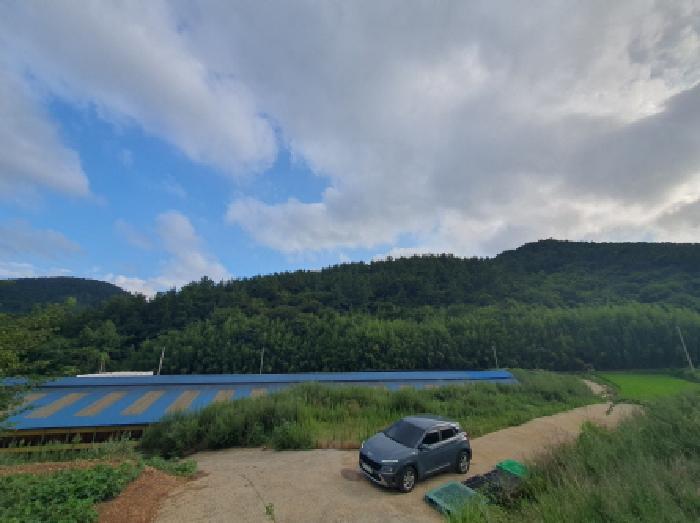 전라남도 강진군 마량면 영동리 260 대지 경매 사진 6