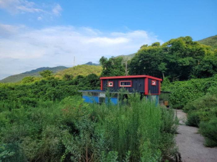 전라남도 고흥군 남양면 월정리 466 전 경매 사진 10