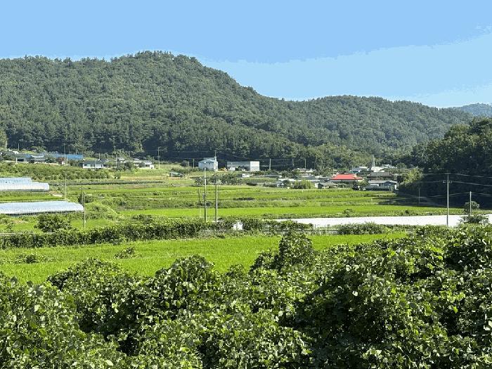 전라남도 고흥군 남양면 월정리 466 전 경매 사진 5