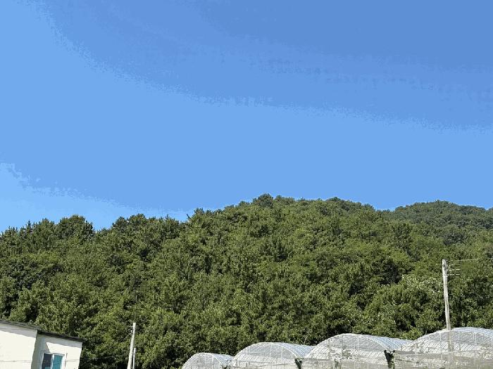 전라남도 고흥군 남양면 월정리 466 전 경매 사진 9