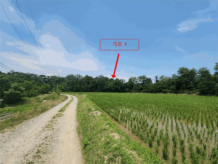 충청남도 당진시 송산면 가곡리 373-37 임야 경매 사진 2