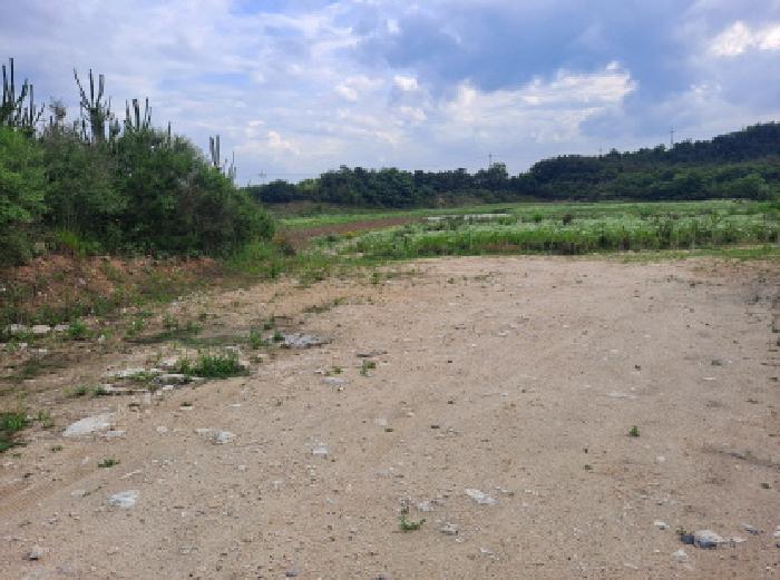 충청남도 당진시 송산면 가곡리 373-37 임야 경매 사진 23