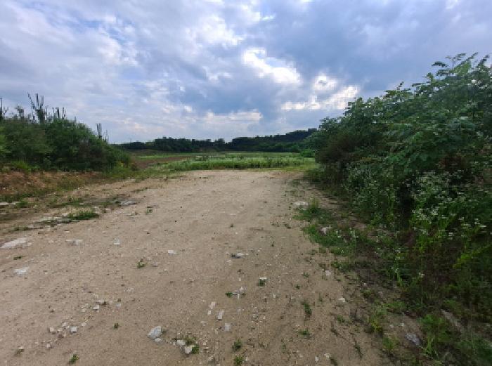 충청남도 당진시 송산면 가곡리 373-37 임야 경매 사진 28