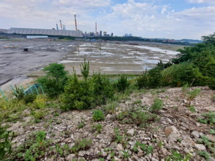 충청남도 당진시 송산면 가곡리 373-37 임야 경매 사진 31