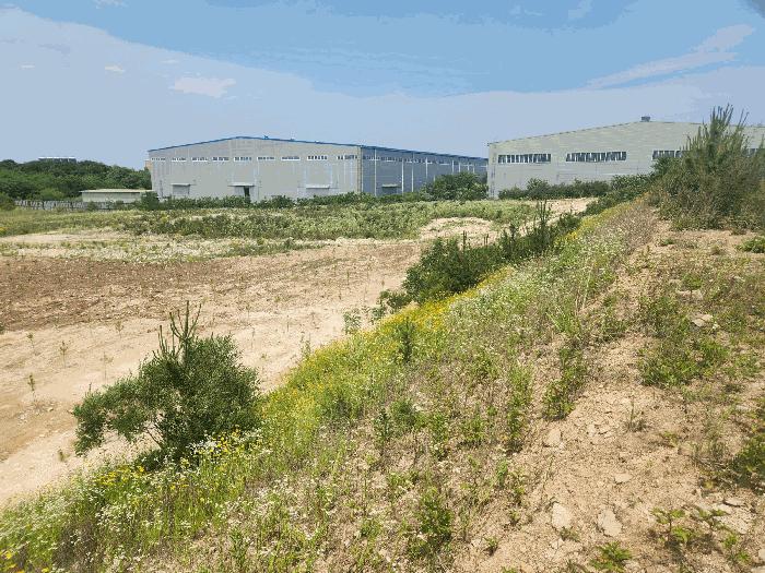 충청남도 당진시 송산면 가곡리 373-37 임야 경매 사진 5