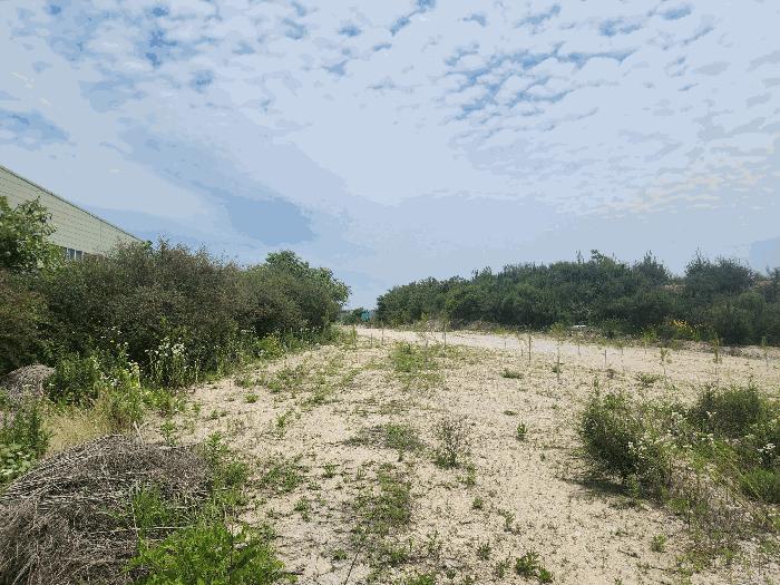 충청남도 당진시 송산면 가곡리 377-3 임야 경매 사진 3