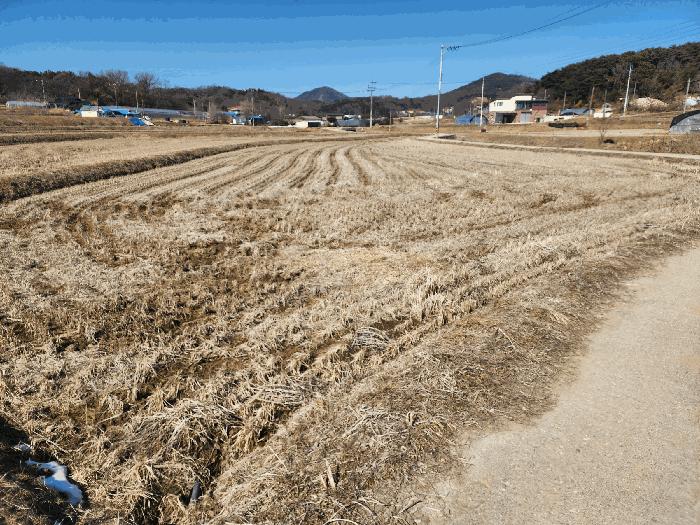 충청남도 당진시 면천면 성하리 53-1 답 경매 사진 10