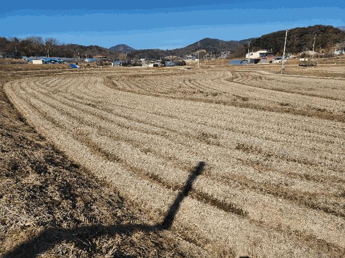 충청남도 당진시 면천면 성하리 53-1 답 경매 사진 13