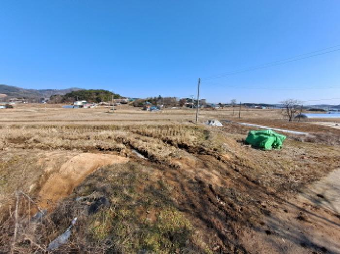 충청남도 당진시 면천면 성하리 53-1 답 경매 사진 17