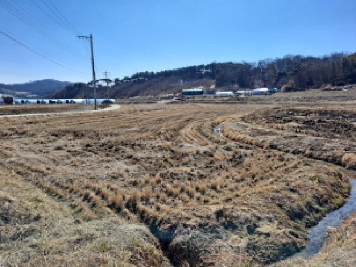 충청남도 당진시 면천면 성하리 53-1 답 경매 사진 20