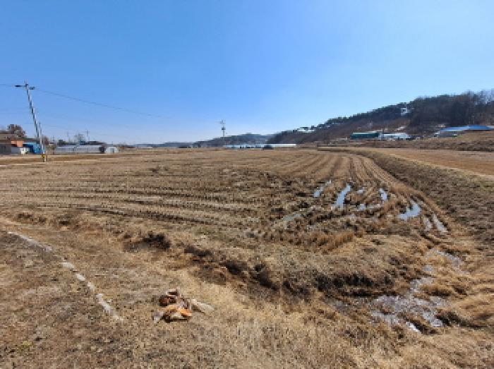 충청남도 당진시 면천면 성하리 53-1 답 경매 사진 21