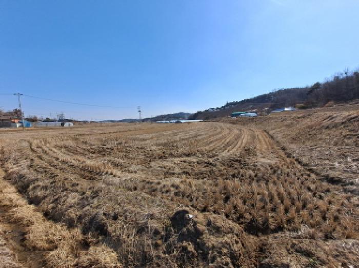 충청남도 당진시 면천면 성하리 53-1 답 경매 사진 22