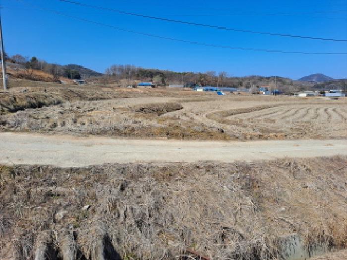 충청남도 당진시 면천면 성하리 53-1 답 경매 사진 23