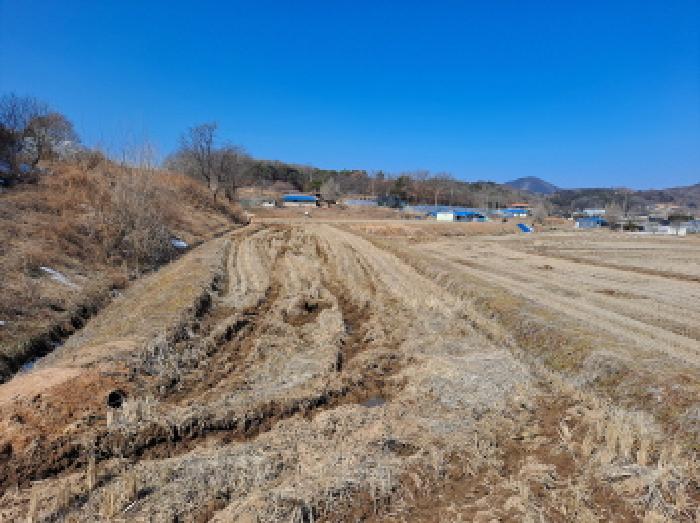 충청남도 당진시 면천면 성하리 53-1 답 경매 사진 25