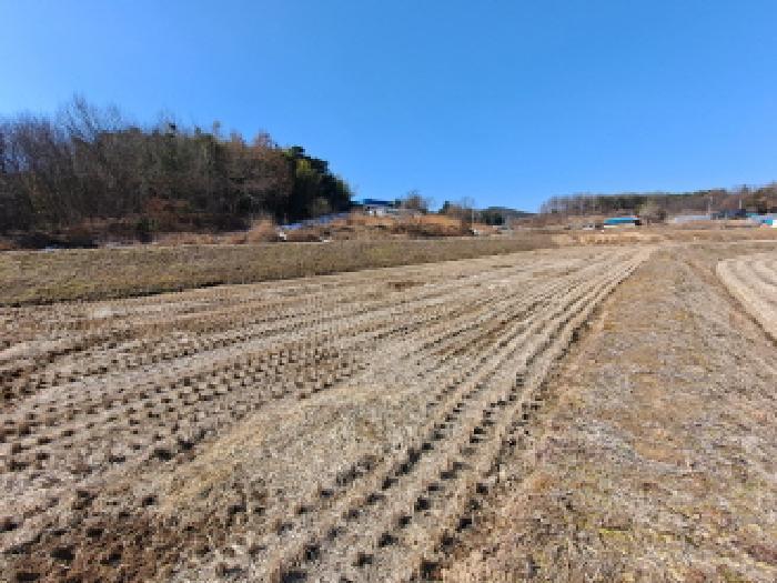 충청남도 당진시 면천면 성하리 53-1 답 경매 사진 26