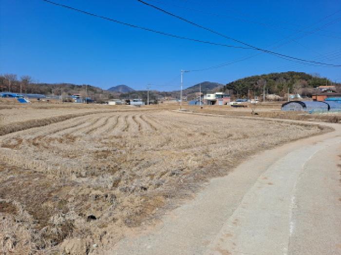 충청남도 당진시 면천면 성하리 53-1 답 경매 사진 27