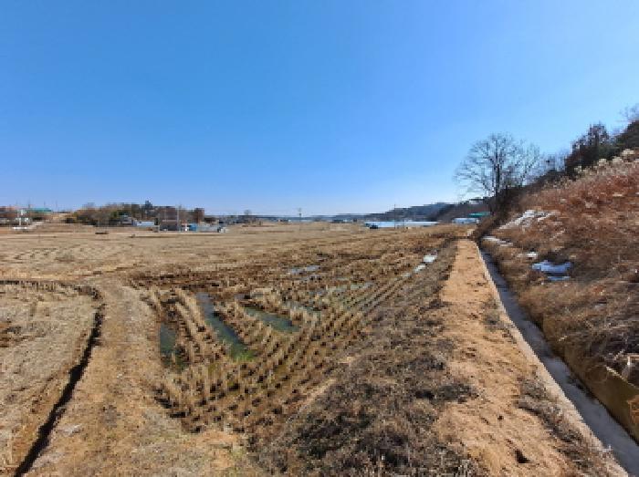 충청남도 당진시 면천면 성하리 53-1 답 경매 사진 32