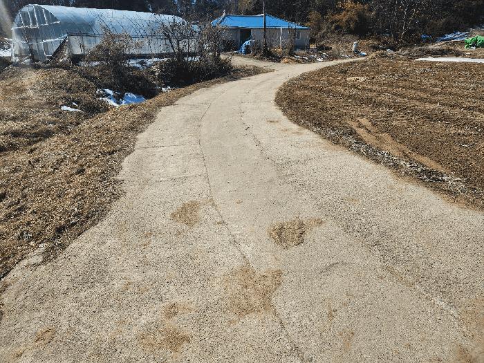 충청남도 당진시 면천면 성하리 53-1 답 경매 사진 4