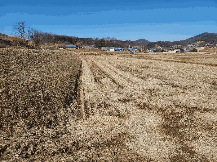 충청남도 당진시 면천면 성하리 53-1 답 경매 사진 7