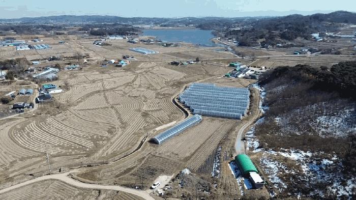 충청남도 당진시 면천면 성하리 53-1 답 경매 사진 9
