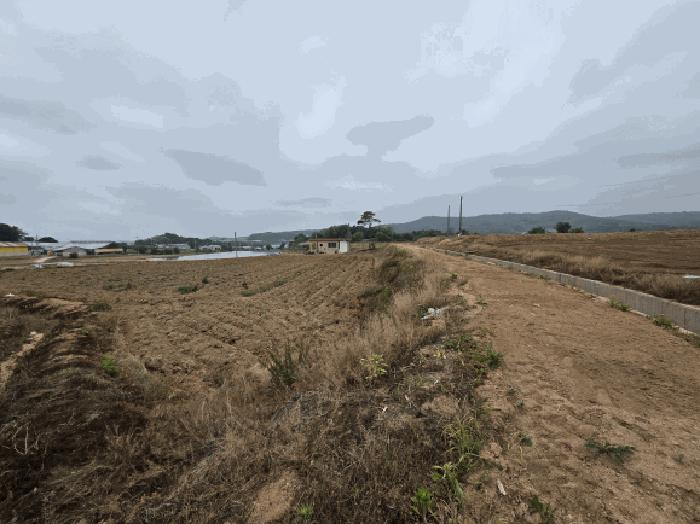 충청남도 당진시 합덕읍 소소리 1-14 임야 경매 사진 4