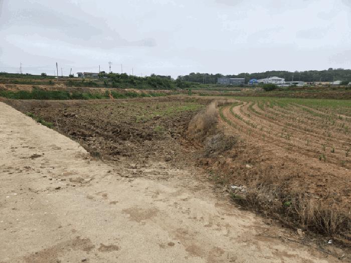 충청남도 당진시 합덕읍 소소리 1-14 임야 경매 사진 6