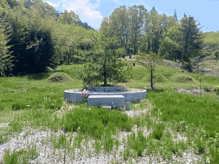 충청남도 청양군 비봉면 양사리 119-2 전 경매 사진 1