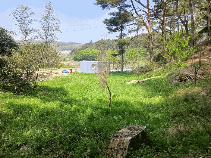 충청남도 청양군 비봉면 양사리 119-2 전 경매 사진 3