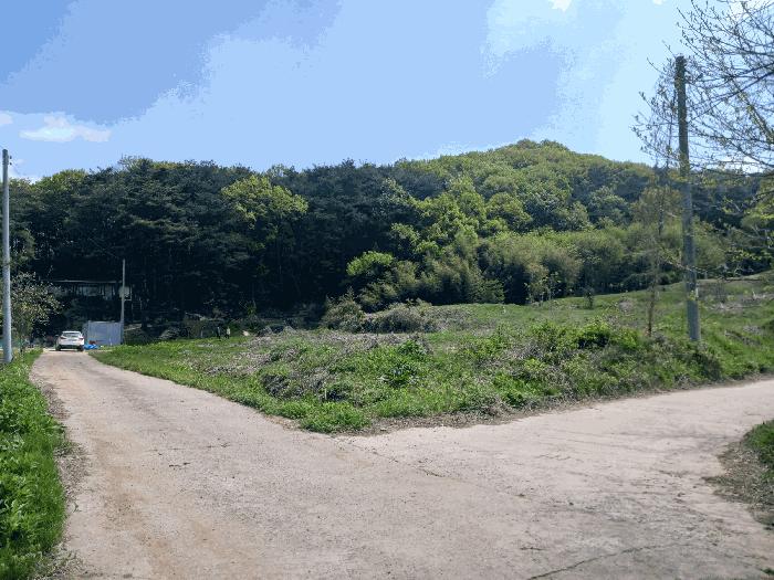 충청남도 청양군 비봉면 양사리 119-2 전 경매 사진 5