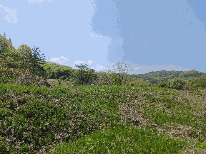 충청남도 청양군 비봉면 양사리 119-2 전 경매 사진 6