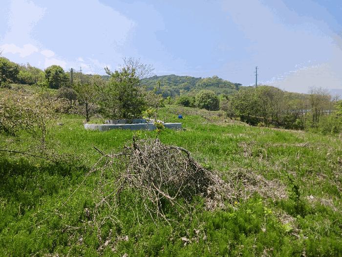 충청남도 청양군 비봉면 양사리 119-2 전 경매 사진 7