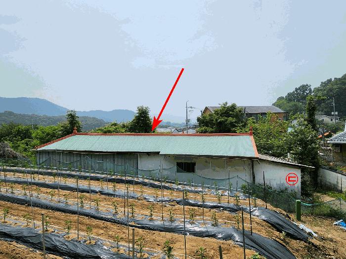 경기도 광명시 일직동 501-4 광명역엠클러스터 1층127호 근린상가 경매 사진 4