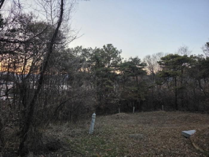 경상북도 성주군 월항면 장산리 산3 임야 경매 사진 6