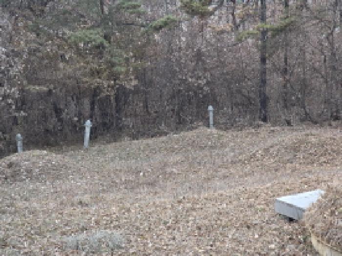 경상북도 성주군 월항면 장산리 산3 임야 경매 사진 7