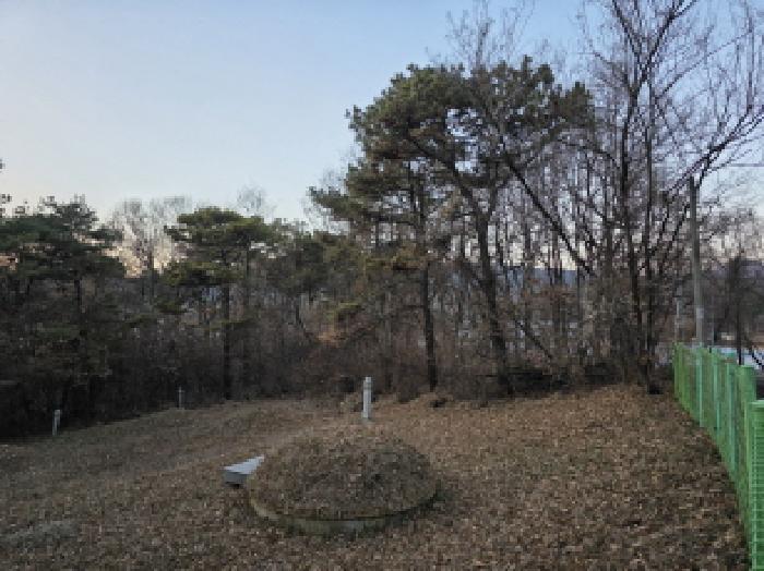경상북도 성주군 월항면 장산리 산3 임야 경매 사진 8