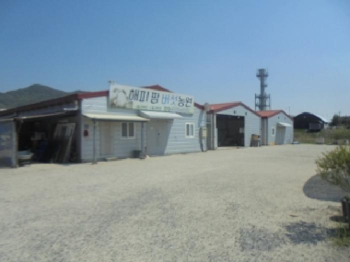 충청북도 음성군 생극면 도신리 181-1 창고 경매 사진 24