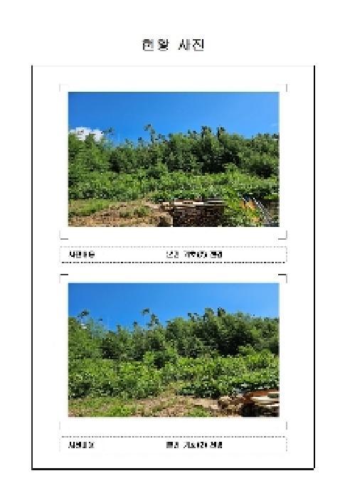전라남도 신안군 암태면 기동리 1167 대지 경매 사진 13