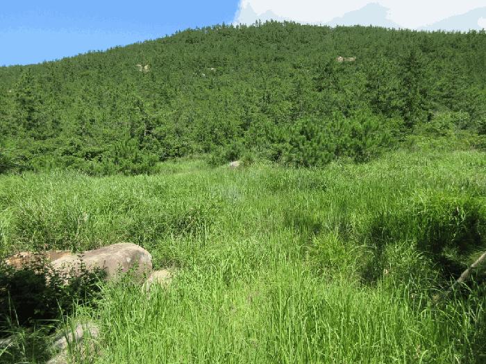 전라남도 신안군 암태면 기동리 1167 대지 경매 사진 5