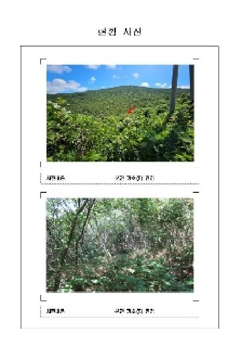 전라남도 신안군 자은면 한운리 157 답 경매 사진 16