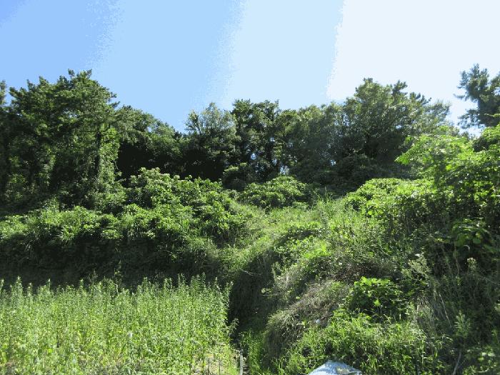 전라남도 신안군 팔금면 이목리 462 전 경매 사진 19
