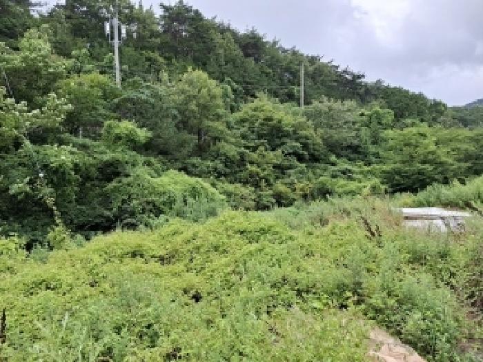 경상남도 남해군 삼동면 금송리 316 창고 경매 사진 20